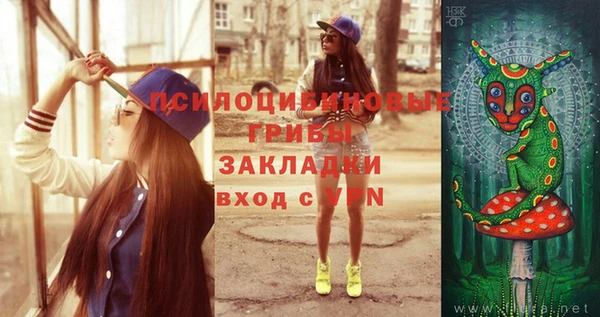 сатива Хадыженск