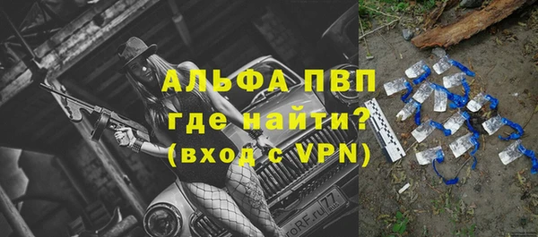 сатива Хадыженск
