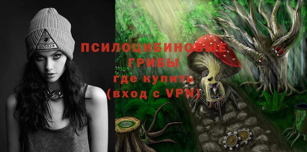 сатива Хадыженск