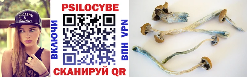 Псилоцибиновые грибы MAGIC MUSHROOMS  Купить где  Усть-Илимск 